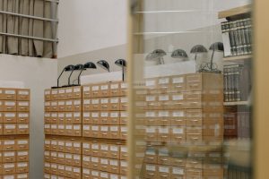 system obiegu informacji w szkole